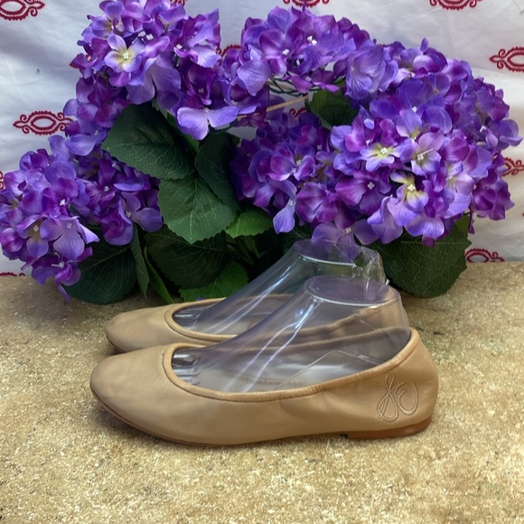 Sam Edelman Flats SZ 10 - Picture 4 of 7